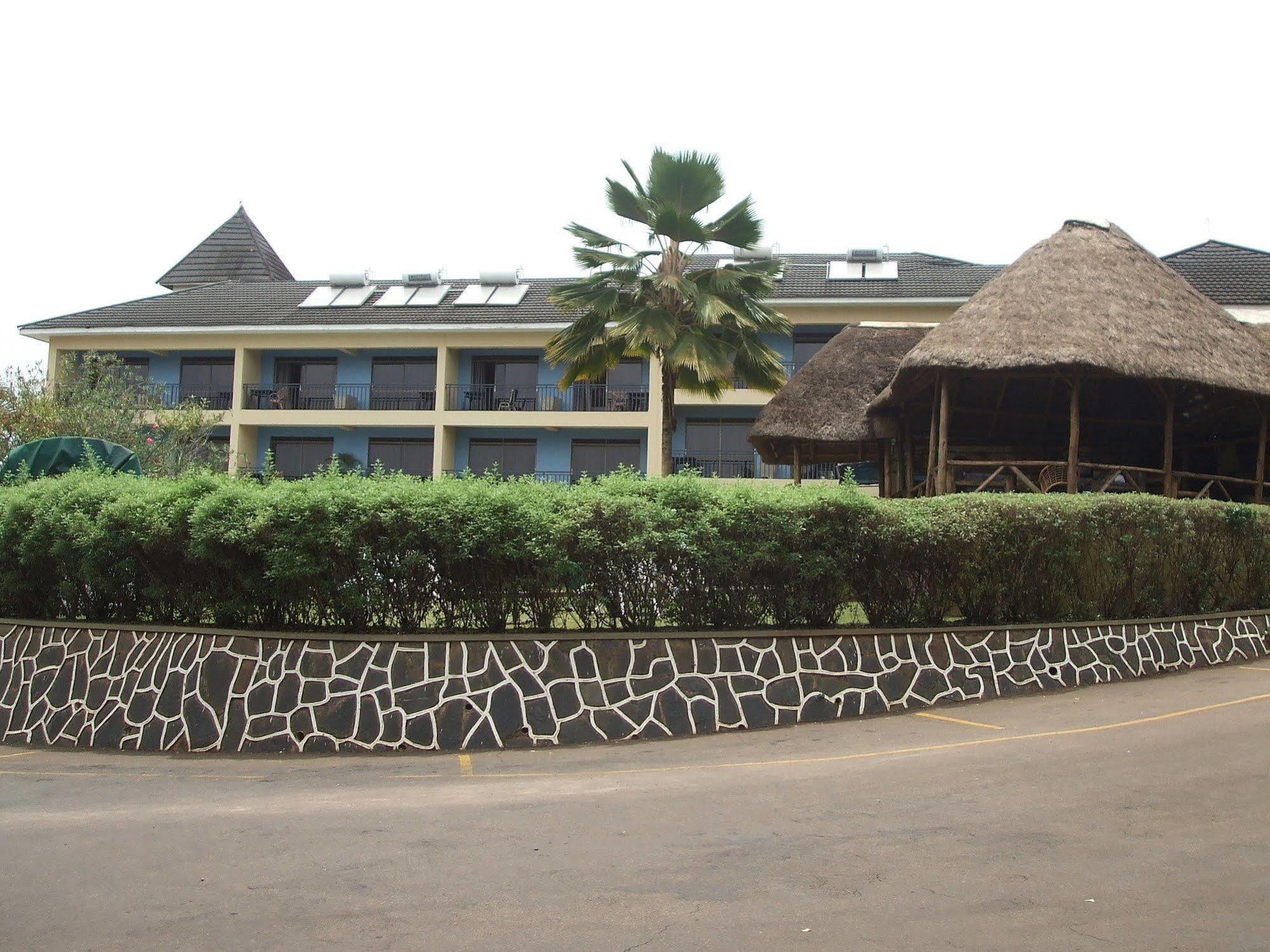Dolphin Hotel